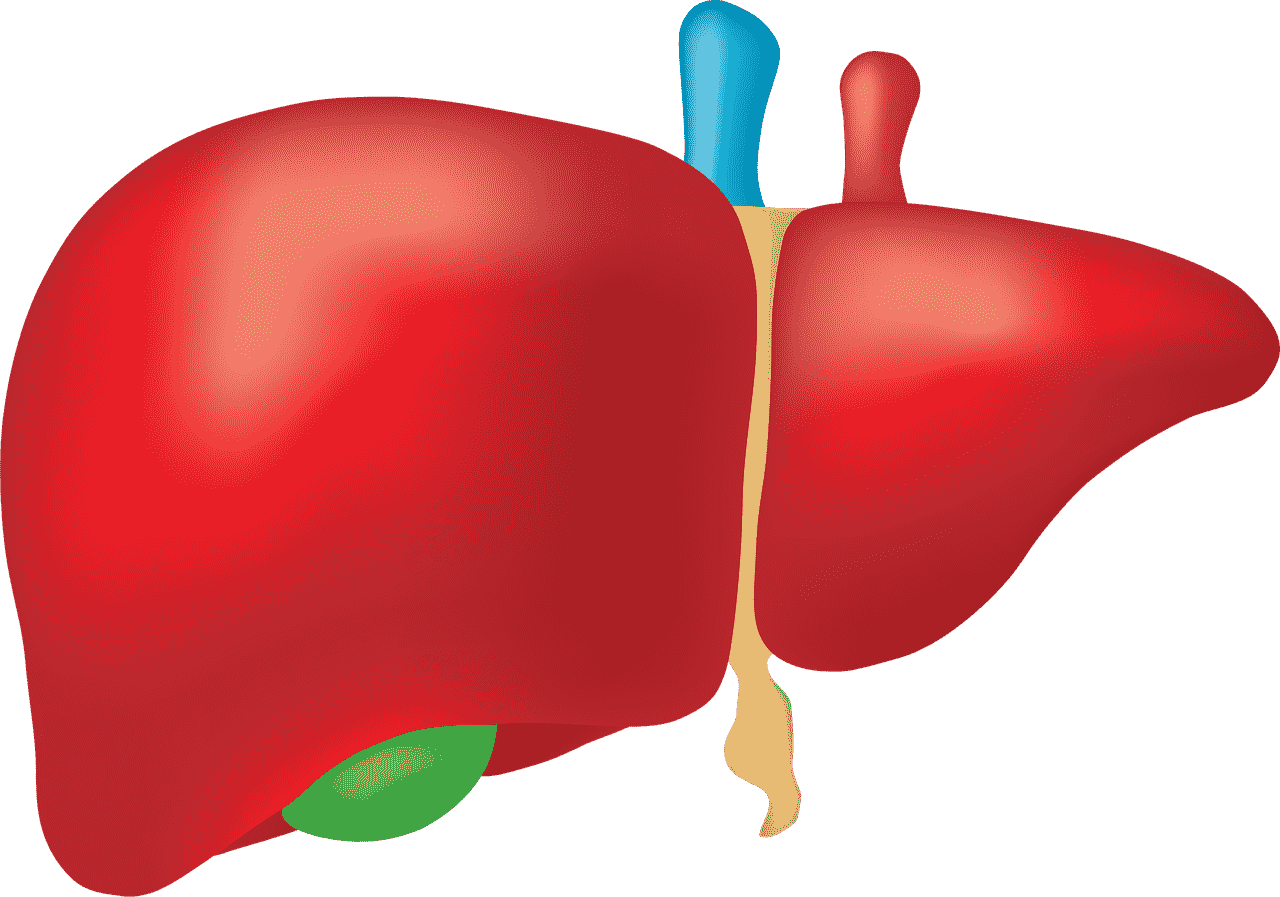 castor oil for liver detoxification