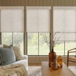Paper Window Shades