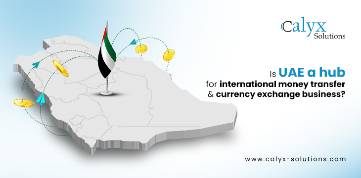 Understanding the reality of money transfers in the UAE