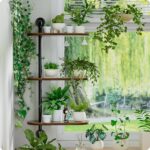 Window Shelf for Plants