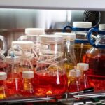 How to Navigate the Optimum Biotech Official Website