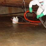 Water Restoration Service Methods for Effective Property Recovery